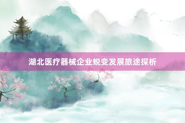 湖北医疗器械企业蜕变发展旅途探析
