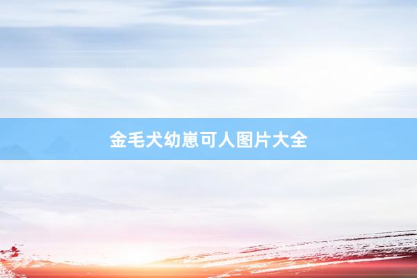 金毛犬幼崽可人图片大全
