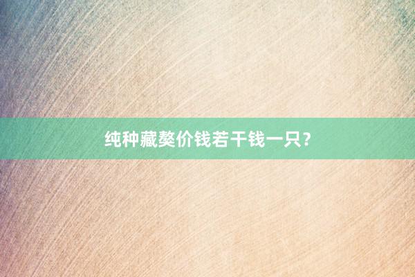 纯种藏獒价钱若干钱一只？